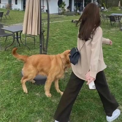 彼生时刻