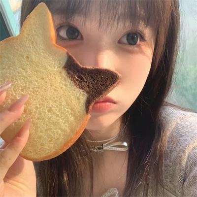 动物园之夜