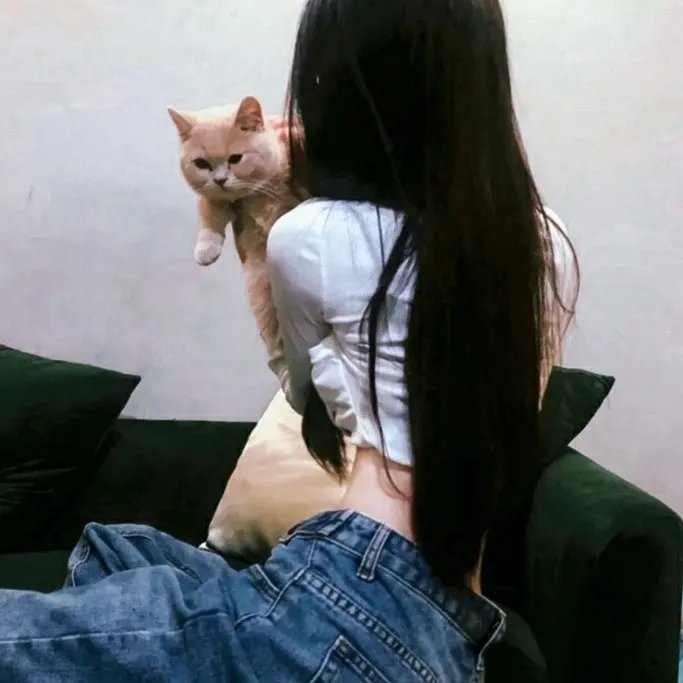 女神的子宫