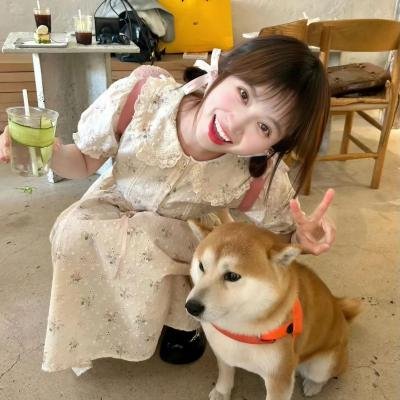 囧爸喜事